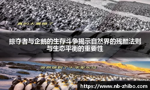 智博体育平台
