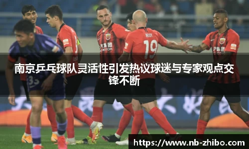 南京乒乓球队灵活性引发热议球迷与专家观点交锋不断