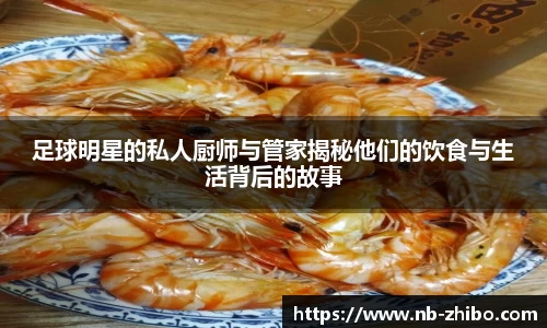 智博体育官方网站